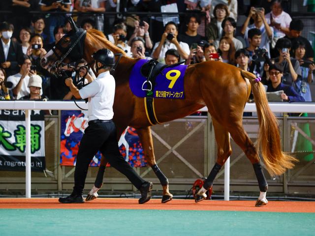 「前走ダート」の異例ローテで秋華賞Vへ クリノメイが17年前の1000万馬券を再現するか