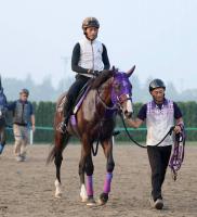  ưۥѥȥ饷å2Υʥ饤ŵ