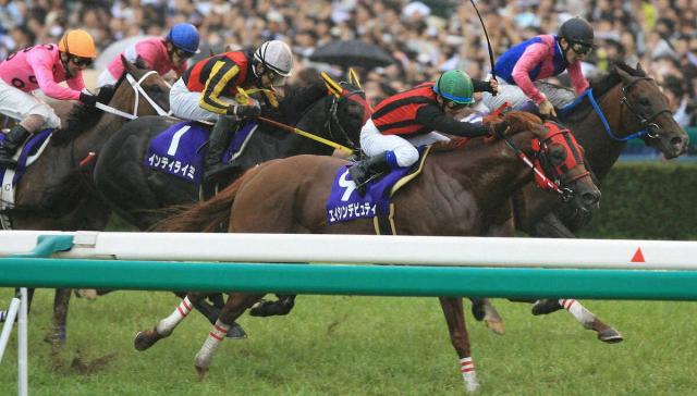 08年宝塚記念覇者エイシンデピュティ死す…23歳「闘志あふれる走り、雄姿を忘れることはありません」