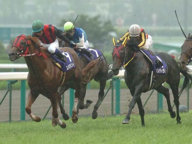 エイシンデピュティが23歳で死す 08年宝塚記念など重賞4勝