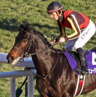  ��������ư���ۻ�����ϥߥ塼������ޥ����ŷ�ľޡ�����û���ȵ�1���ܤ�C�ǥࡼ������ȥ��������