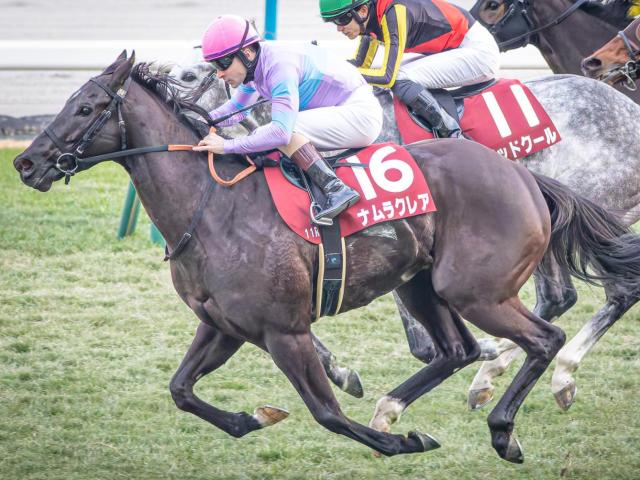 重賞5勝ナムラクレアの全弟 ナムラロダンがデビュー勝ちなるか