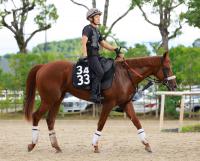  �ڿ�����ۥʥ������󡡻Фϥʥ�饯�쥢���᤯�����Ǽ����������Ф�³����Ĺë��ա��Ҥ��ϸ����Ƥ��뤫�ʡ�