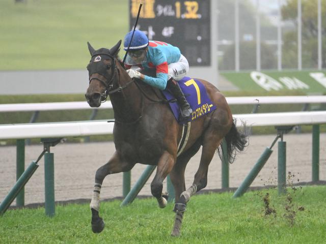 ジャパンカップ2024】出走予定馬・レース概要・日程・歴代優勝馬