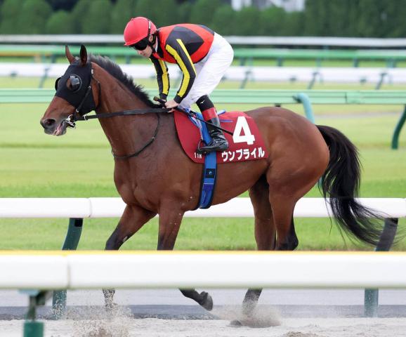 ソングライン　2023安田記念　ミニゼッケン 2023年 農林水産省賞典 安田記念 JRA