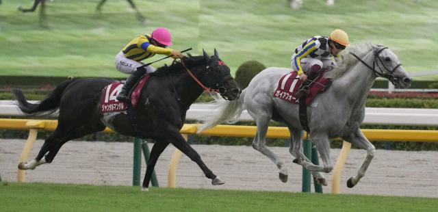 ジャパンカップ(G1)データ】 外国勢は優勝すれば300万ドル、2着