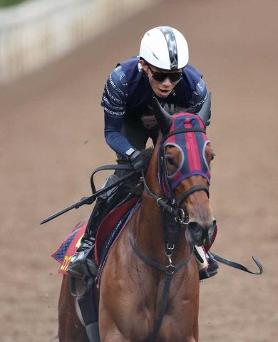 リバティアイランド　阪神JF　桜花賞　オークス　秋華賞　現地的中単勝馬券セット リバティアイランド 阪神JF 桜花賞 オークス 秋華賞 現地的中
