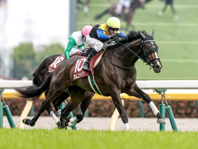 リバティアイランド　阪神JF　桜花賞　オークス　秋華賞　現地的中単勝馬券セット リバティアイランド 阪神JF 桜花賞 オークス 秋華賞 現地的中