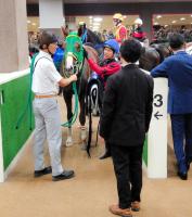  ڿۥۥꥨ󤳤ٹʸͭΥåƥå㥤ǥӥ塼ǣ