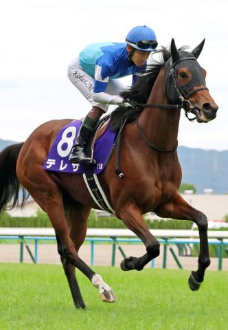 チャンピオンズカップ2024】出走予定馬・レース概要・歴代優勝馬