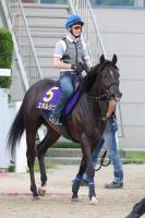  ڵƲ־ޡۥ᡼˾3ϢƤء˭¤ֺ¿5ءֿ¡͡󥿥⤹ץͥ른仿