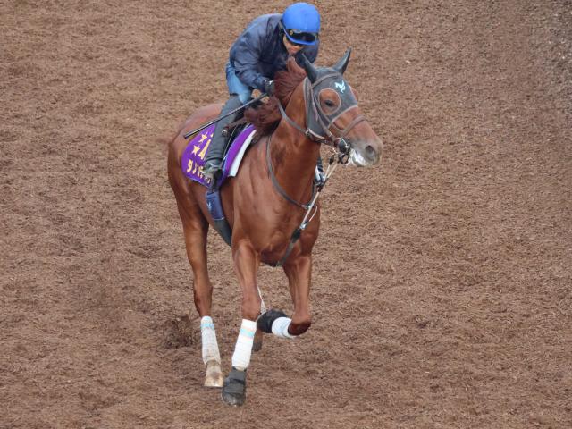 【カズパパ】イクイノックス 出資会員限定優勝記念品 ジャパンカップ2023 カズパパ様専用】イクイノックス 出資会員限定優勝記念品