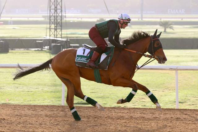 ジャパンカップ 2023結果情報】イクイノックスが破竹のGI・6連勝