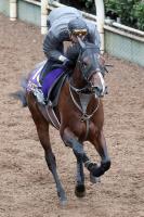  ڵƲ־ޡƨڤ괰Υޥ˥СϤȴࡼꡡ𹬻ϺĴա֤Ϥޤ礤