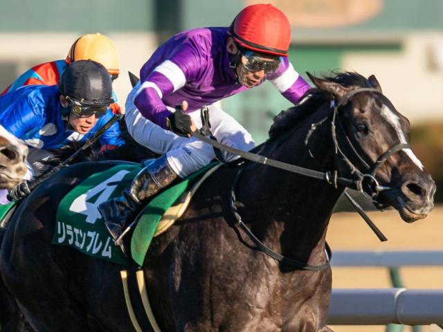 友道康夫厩舎の5.9億円馬 エムズビギンが菊花賞デーに新馬勝ちなるか