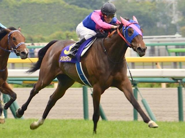 桜花賞（G1）まとめ】2022年4月10日に阪神競馬場で開催