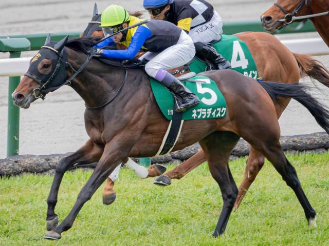 リスグラシューの弟2頭 土曜京都で同日Vなるか