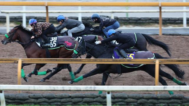 ジャパンカップ 2023結果情報】イクイノックスが破竹のGI・6連勝