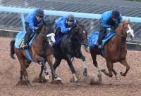  �ڵƲ־ޡ۵�Υ��Ĺ�˥��ޥ��Ҥȥ�åɥХ�Ǥ���������������奿����Ϥޤ��˵Ƹ�����̿����