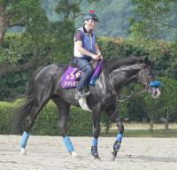  ڵƲ־ޡۡȽɤ˥ɥޡ23ǯ糰ɥåĥȴ