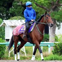  �ڵƲ־ޡۥ���ȥ饤�ȵ�ǰ3��Υ�åɥХ�Ǥ�Ĺ��Υ��G1���Ƥء�����Ĵ���աֵ�Υ��Ĺ�⤤����