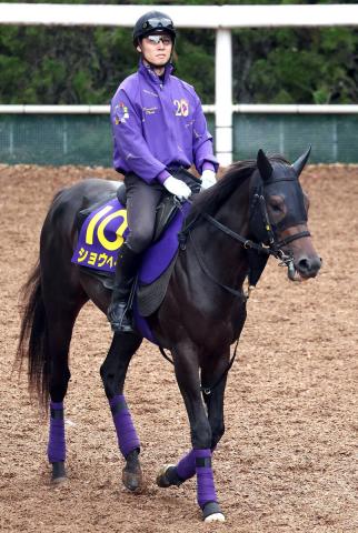 【菊花賞】ショウヘイは「ドジャーブルー」の4枠7番　友道調教師「ホームランを…」と海の向こうの大谷にエール