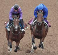  �ڵƲ־ޡ�(18)��åɥХ�ǡ��糰�����ݻա־��äƤ���Τ�����ʤ���