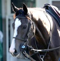  �ڥ���ƥߥ�S��2�ֿ͵��Υե������ƥե��ˤ��ž޽����ơ����ľ��������2����