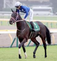  �ڥ���ƥߥ�S��3�ֿ͵��Υ��������ܡ�����3�塡���������嵳��־��ä��Ϥ϶����ä����ɡ�ǽ�ϤϤ����