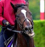  �ڵƲ־ޡ�2�ֿ͵��Υ��ꥭ�󥰤�2�塡���ľ��������15ǯ�֤�2���ܤʤ餺