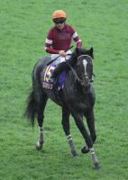  �ڵƲ־ޡۥ��ꥭ���Ϥ���2�塡���ġ֤褯��ĥ��ޤ�����������1Ƭ�����Ϥ����ޤ����͡�