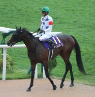  �ڵƲ־ޡۥޥ���˥С���13����������˭�֥������Ȥ��٤����ڤ��ؤ����ס�4�Ѥ��äƼ�������ġ�