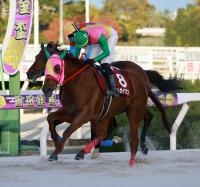  �ڱ��Ķ��ϡ�11��27��ȯ�������Ķ��֤Υե�����ɼ�»ܡ�11��6���ޤ�