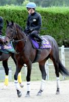  ��ŷ�ľޡ����ۻ�����ϥߥ塼������ޥ���Ͻ�Ĵ��Ĵ����������Ĵ���աֺ�ī��ʷ�ϵ��⸵�����äѤ��Ǥ���