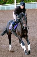  ��ŷ�ľޡ����ۥߥ塼������ޥ����6��9�֤ǻ���ޤ�Ʊ����˹���رġֶ�ü���Ȥ���ʤ����������ȻפäƤ�����