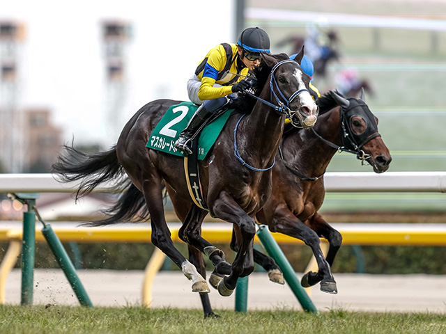 イクイノックス　鬣　たてがみ　一本 2023 天皇賞秋　馬券 イクイノックス 鬣 たてがみ 一本 2023 天皇賞秋 馬券 2023 Emperor's