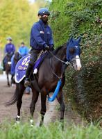  ŷľޡ3Ϣ³G1ܻؤ᡼뵳Υޥ졼ɥܡ뤬1ֿ͵˭Υᥤ祦Х뤬³