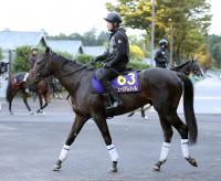  ��ŷ�ľޡۥߥ塼������ޥ��롡�����äƤ�������Ʋ����ֻ���ޤλ���Ʊ���褦��ʷ�ϵ���®�����פη��������ʤ���