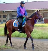  ڥ를¹ա۹ӥǥޥåɤž޽VءĴդϽ2500᡼ȥɤ?