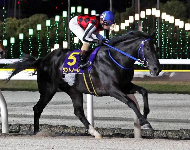 チャンピオンズカップ2024】出走予定馬・レース概要・歴代優勝馬