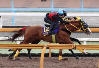  ڥ를¹աۥܥɥա塡ĴرġĹľ˽Ф