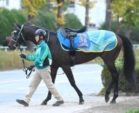  ڤߤ䤳ӡۥڥꥨ롡žϢμĴաְ老ȤΥ᡼ʤʤäƤ