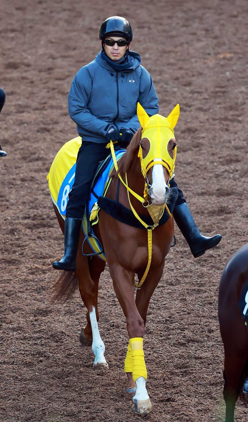 【アルゼンチン共和国杯】ボルドグフーシュ　今度こそ　初の東京、ニ五も歓迎　宮本師「１回使って上積みある」