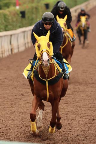 【アルゼンチン共和国杯】実績馬ボルドグフーシュが待望の重賞初Vへ　宮本調教師は手応え「ひっくり返す自信がある」