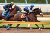  ڥꥶ٥ա1ƥܥåϡ乥Ĵˡɥ᡼뵳꤬衡֥ǥϤ