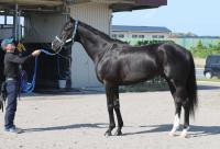  23ǯƲ־ϥɥåĥϺǯ2ƱΥѥCءŵ8夫鴬֤ޤ