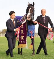  ưŷľޡG1ƤΥޥ졼ɥܡ뤬ϥѥCظȤ˷