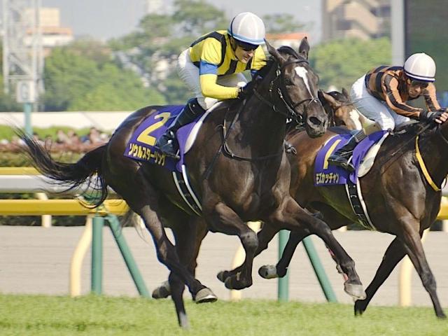 半姉は名牝ソウルスターリング シェーネエルデが武豊騎手でデビュー勝ちなるか