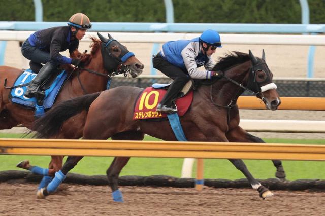 【エリザベス女王杯1週前追い】ステレンボッシュ　ルメールで変身　1馬身先着「反応良かった」