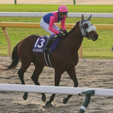 【注目馬動向】メイショウタバルは武豊騎手と有馬記念へ　春秋グランプリ制覇目指す
